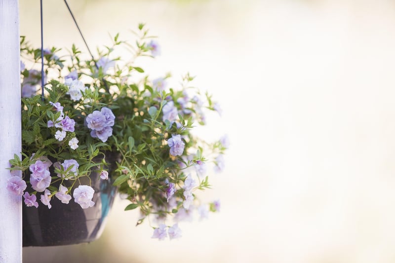 Tiered Plant Stands